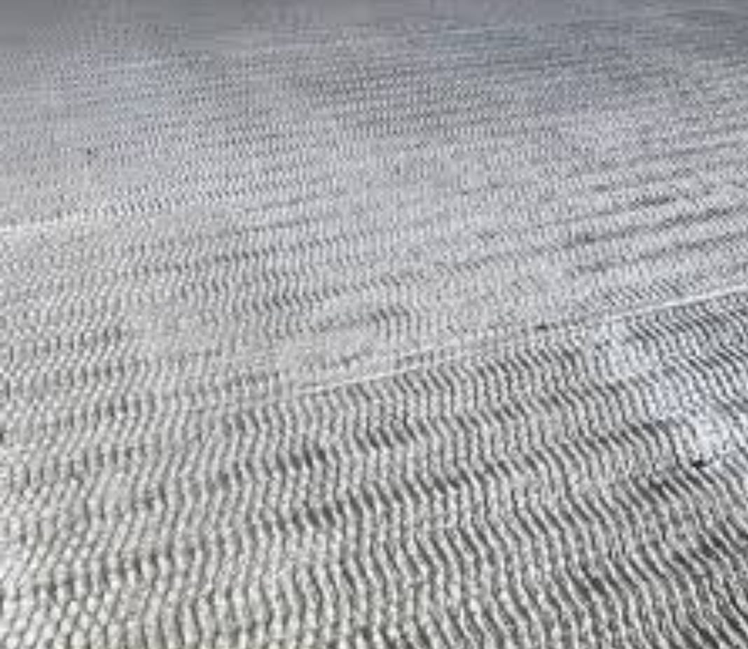 Tekirdağ epoksi zemin kaplama | Proepoksi Modern Sanayi Zeminleri 1 proepoks beton yuzey firca